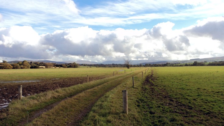 en-el-camino-laredactorambiental