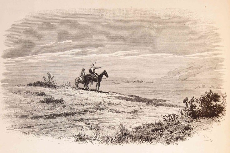 la-poda-sinaptica-laredactorambiental