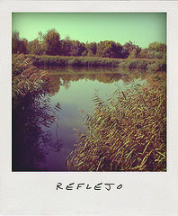 microrrelato-premio-elisabethlahoz